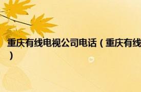 重庆有线电视公司电话（重庆有线电视网络股份有限公司相关内容简介介绍）