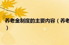 养老金制度的主要内容（养老金制度 福利制度相关内容简介介绍）