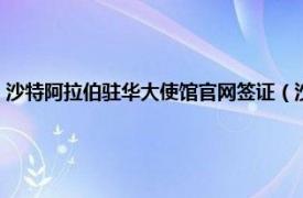 沙特阿拉伯驻华大使馆官网签证（沙特阿拉伯商务签证相关内容简介介绍）