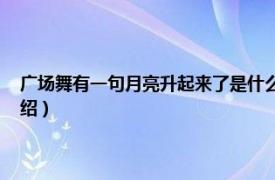 广场舞有一句月亮升起来了是什么歌（月亮升起来 广场舞相关内容简介介绍）