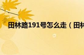 田林路191号怎么走（田林路111号相关内容简介介绍）