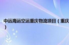 中远海运空运重庆物流项目（重庆中远国际货运有限公司相关内容简介介绍）