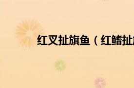 红叉扯旗鱼（红鳍扯旗鱼相关内容简介介绍）