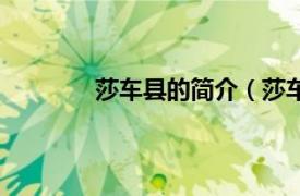 莎车县的简介（莎车镇相关内容简介介绍）