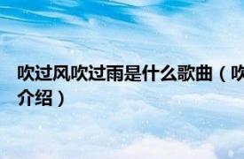 吹过风吹过雨是什么歌曲（吹吹风 娄雨辰演唱歌曲相关内容简介介绍）