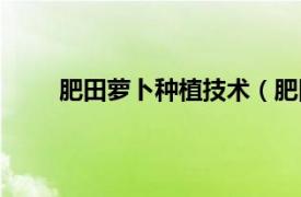 肥田萝卜种植技术（肥田萝卜相关内容简介介绍）