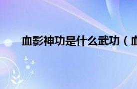 血影神功是什么武功（血影神功相关内容简介介绍）