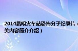 2014昆明火车站恐怖分子纪录片（张建光 31昆明火车站暴力恐怖案烈士相关内容简介介绍）