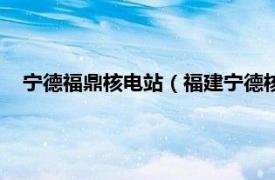 宁德福鼎核电站（福建宁德核电有限公司相关内容简介介绍）