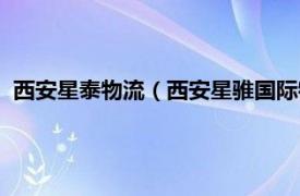 西安星泰物流（西安星骓国际物流有限公司相关内容简介介绍）