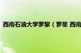 西南石油大学罗黎（罗星 西南石油大学讲师相关内容简介介绍）