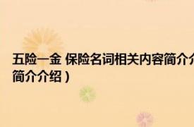 五险一金 保险名词相关内容简介介绍怎么填（五险一金 保险名词相关内容简介介绍）