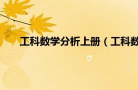 工科数学分析上册（工科数学分析 一相关内容简介介绍）