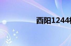 酉阳1244相关内容介绍