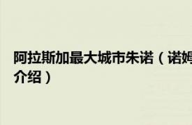 阿拉斯加最大城市朱诺（诺姆 美国阿拉斯加州城市相关内容简介介绍）