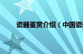 瓷器鉴赏介绍（中国瓷器鉴定相关内容简介介绍）