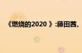 《燃烧的2020 》:藤田茜、小市真琴和西纱织的歌曲简介