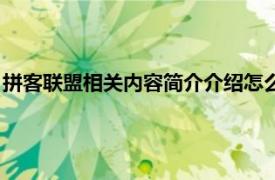 拼客联盟相关内容简介介绍怎么写（拼客联盟相关内容简介介绍）