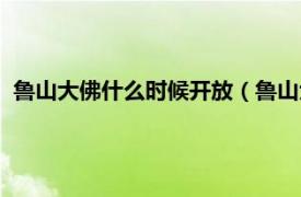 鲁山大佛什么时候开放（鲁山大佛开光大典相关内容简介介绍）