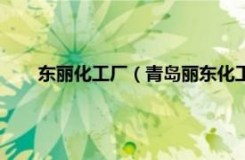 东丽化工厂（青岛丽东化工有限公司相关内容简介介绍）