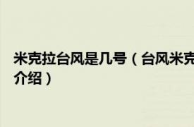 米克拉台风是几号（台风米克拉 2020年第6号台风相关内容简介介绍）