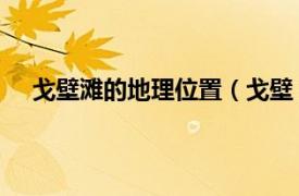 戈壁滩的地理位置（戈壁 地理词语相关内容简介介绍）