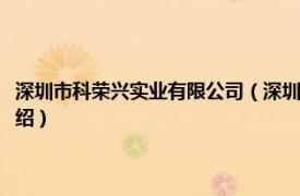 深圳市科荣兴实业有限公司（深圳市科荣软件股份有限公司相关内容简介介绍）