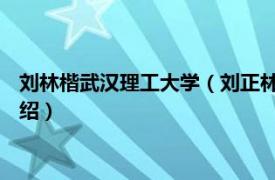 刘林楷武汉理工大学（刘正林 武汉理工大学教授相关内容简介介绍）