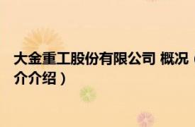 大金重工股份有限公司 概况（金海重工股份有限公司相关内容简介介绍）