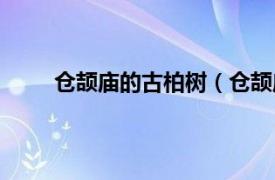 仓颉庙的古柏树（仓颉庙古柏相关内容简介介绍）