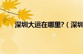 深圳大运在哪里?（深圳大运村相关内容简介介绍）