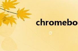 chromebook pixel2013