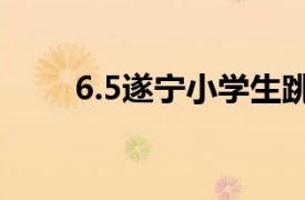 6.5遂宁小学生跳楼案相关内容简介