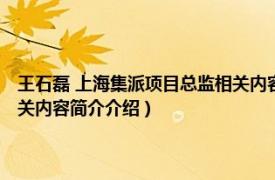 王石磊 上海集派项目总监相关内容简介介绍（王石磊 上海集派项目总监相关内容简介介绍）