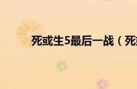 死或生5最后一战（死或生5相关内容简介介绍）