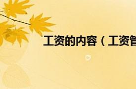 工资的内容（工资管理相关内容简介介绍）