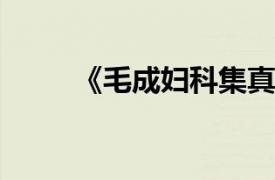 《毛成妇科集真传》相关内容简介