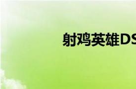 射鸡英雄DS相关内容介绍