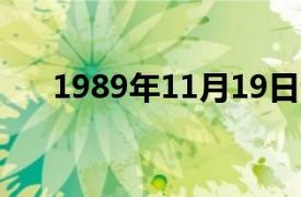 1989年11月19日介绍了相关内容简介