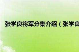 张学良将军分集介绍（张学良将军12DVD相关内容简介介绍）