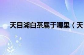 天目湖白茶属于哪里（天目湖白茶相关内容简介介绍）