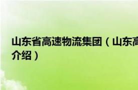 山东省高速物流集团（山东高速物流集团有限公司相关内容简介介绍）