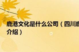 鹿港文化是什么公司（四川鹿港文化传播有限公司相关内容简介介绍）