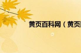 黄页百科网（黄页网相关内容简介介绍）