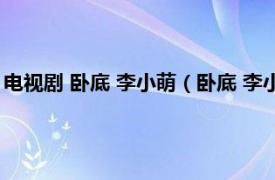 电视剧 卧底 李小萌（卧底 李小萌主演电视剧相关内容简介介绍）