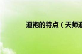 道袍的特点（天师道袍相关内容简介介绍）