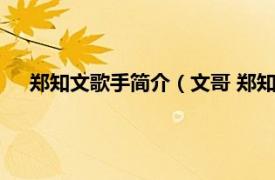 郑知文歌手简介（文哥 郑知文演唱歌曲相关内容简介介绍）