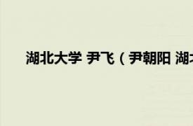 湖北大学 尹飞（尹朝阳 湖北大学教授相关内容简介介绍）