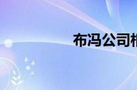 布冯公司相关内容介绍