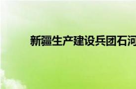 新疆生产建设兵团石河子市新城街道志愿者简介